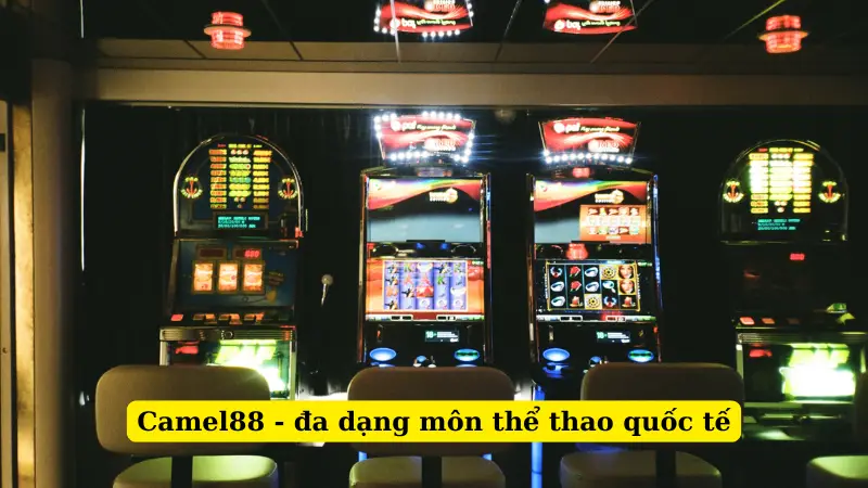 Camel88 - đa dạng môn thể thao quốc tế